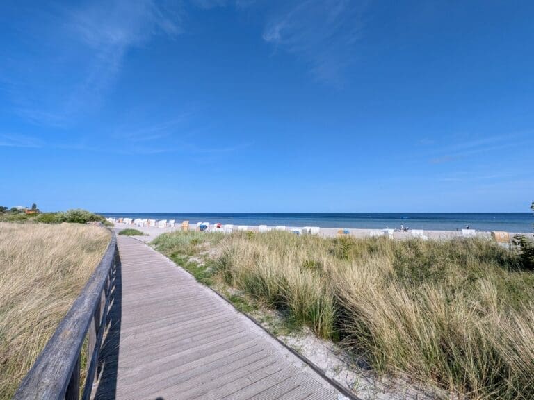 Holzsteg durch die Dünen zum Strand